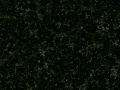 Nero Assoluto India