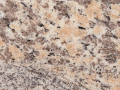 Tiger Rust
