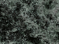 Verde Maritaca