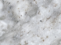 Blossom White