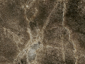 Marron Emerador Gold