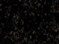 Devil Black®